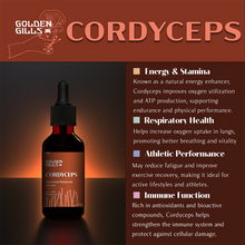 Load image into Gallery viewer, Cordyceps Tincture - 4oz/120mL
