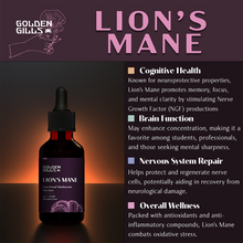 Load image into Gallery viewer, Lion&#39;s Mane Tincture - 4oz/120mL
