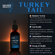 Load image into Gallery viewer, Turkey Tail Tincture - 4oz/120mL
